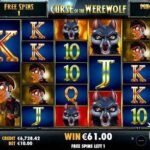 wolf casino: полное руководство для профессионалов