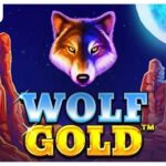 wms slots: полное руководство для профессионалов
