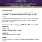 Casino Emergency Procedures: A Comprehensive Safety Guide for Operators and Players