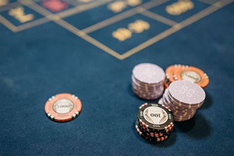 Casino Comparison: How to Choose the Right Platform in 2025